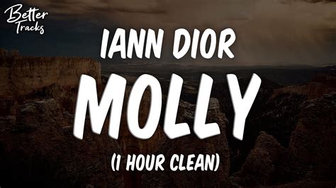 molly iann dior lyrics|bernard jabs Iann Dior.